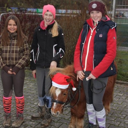 Weihnachtsmarkt 2016-7