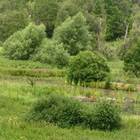 Naturschutzgebiet-45