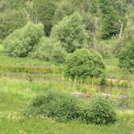 Naturschutzgebiet-43