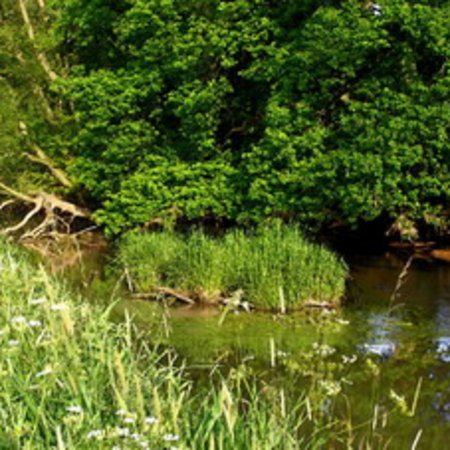Naturschutzgebiet-33