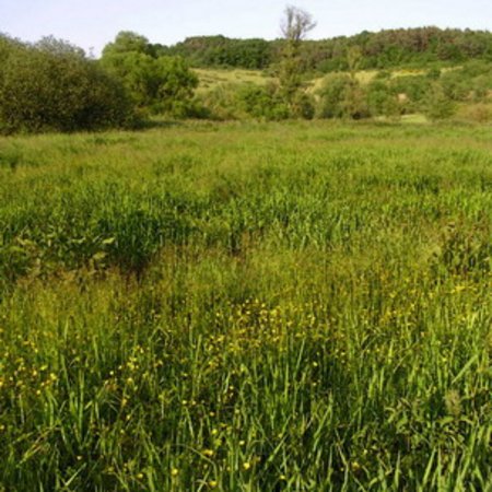 Naturschutzgebiet-29