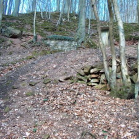 Röhrbrünnchen-5