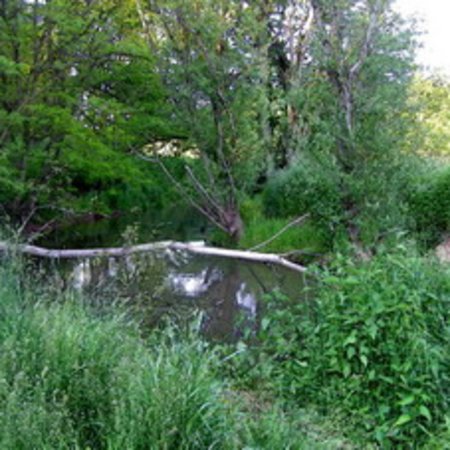 Naturschutzgebiet-37