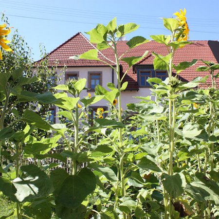 Dorfansichten-31