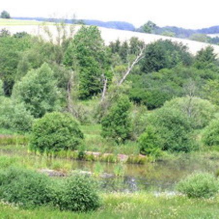 Naturschutzgebiet-42