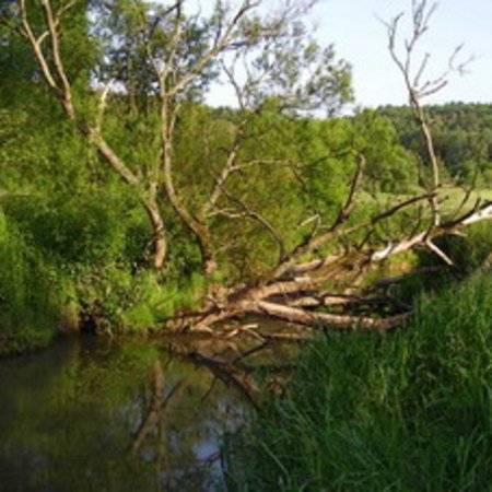 Naturschutzgebiet-23