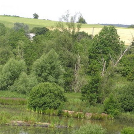 Naturschutzgebiet-40