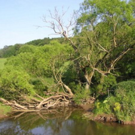 Naturschutzgebiet-12