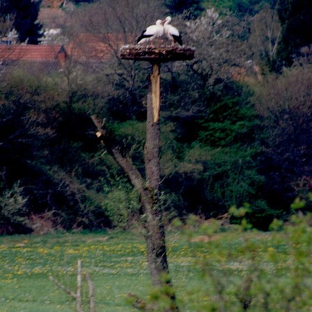Vogelschutzgebiet