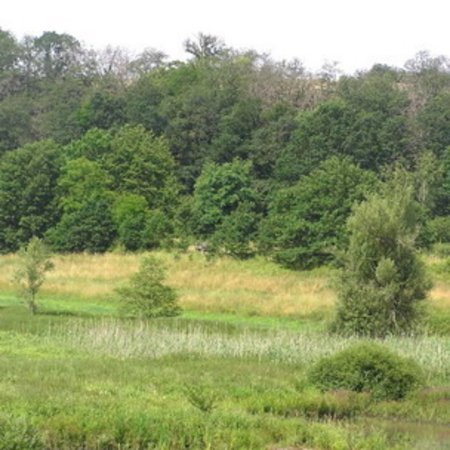 Naturschutzgebiet-39