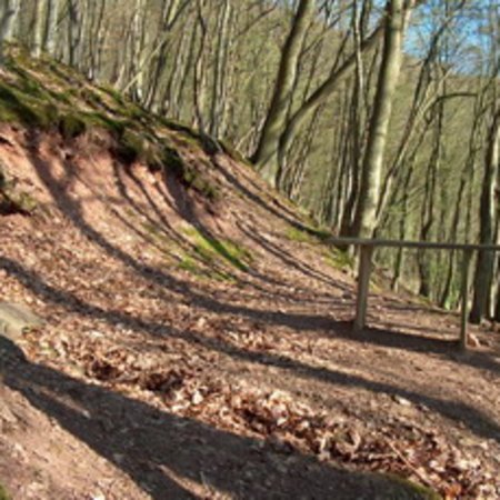 Röhrbrünnchen-27