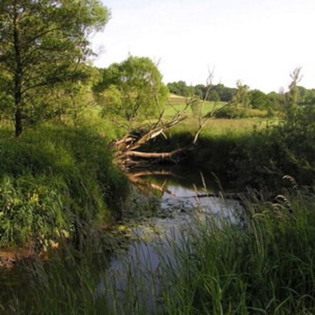 Naturschutzgebiet-2