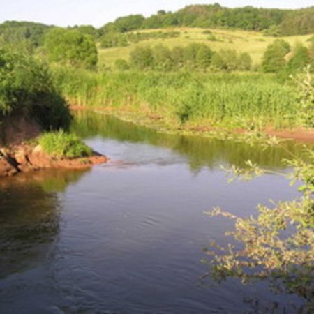 Naturschutzgebiet-6