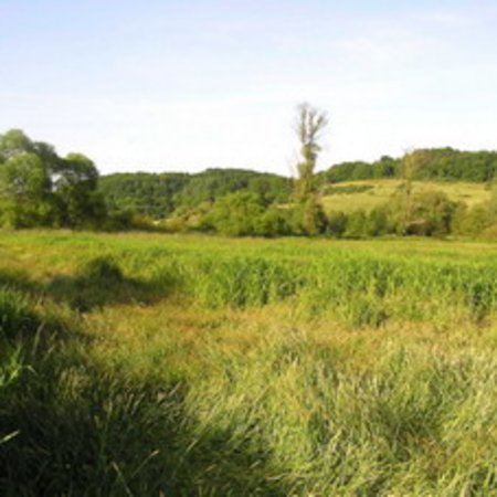 Naturschutzgebiet-11
