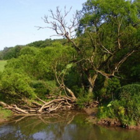 Naturschutzgebiet-30
