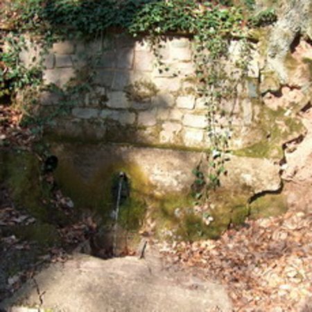 Röhrbrünnchen-17