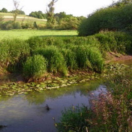 Naturschutzgebiet-26