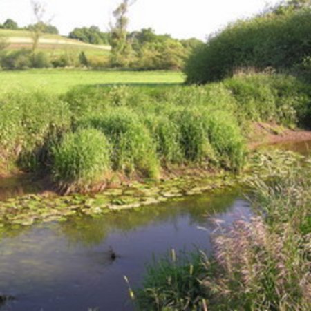Naturschutzgebiet-5