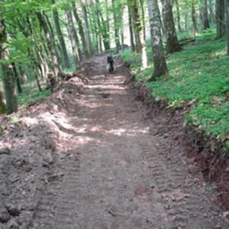Wassertretbad-39