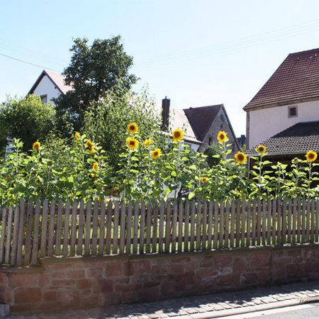 Dorfansichten-33