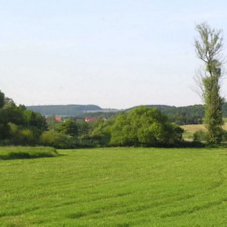 Naturschutzgebiet-15