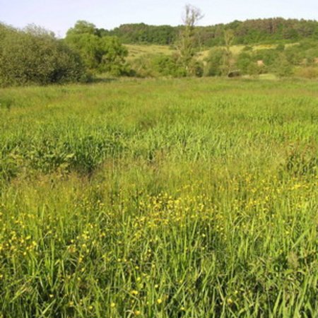 Naturschutzgebiet-10