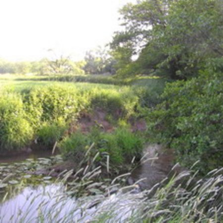 Naturschutzgebiet-3