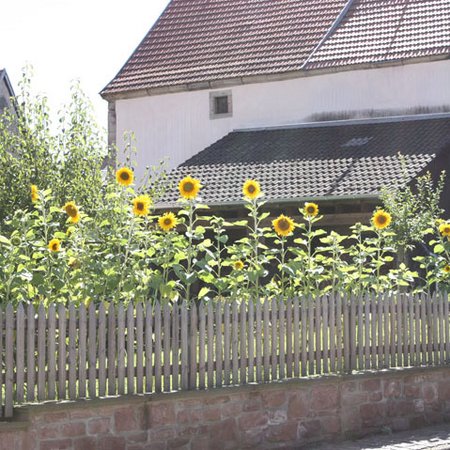 Dorfansichten-34