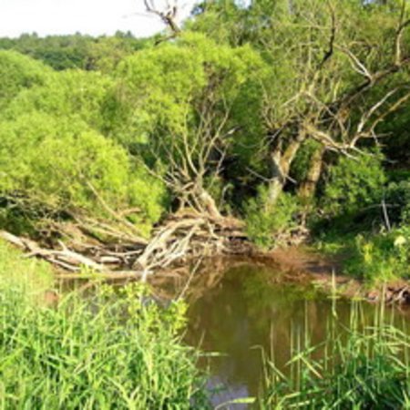 Naturschutzgebiet-16