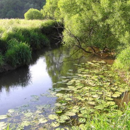 Naturschutzgebiet-19