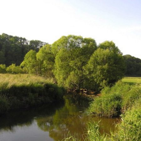 Naturschutzgebiet-17