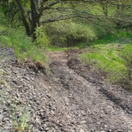 Wassertretbad-43