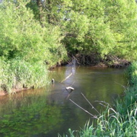 Naturschutzgebiet-20