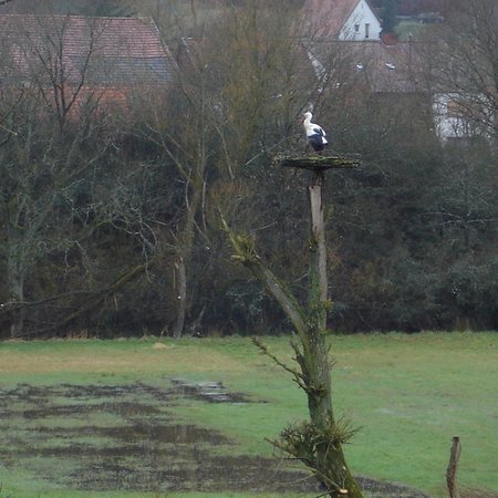 Vogelschutzgebiet-7