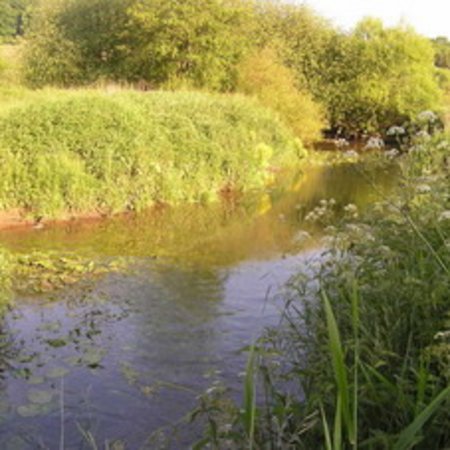 Naturschutzgebiet-9