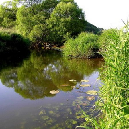 Naturschutzgebiet-18