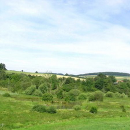 Naturschutzgebiet-41