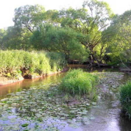 Naturschutzgebiet-24