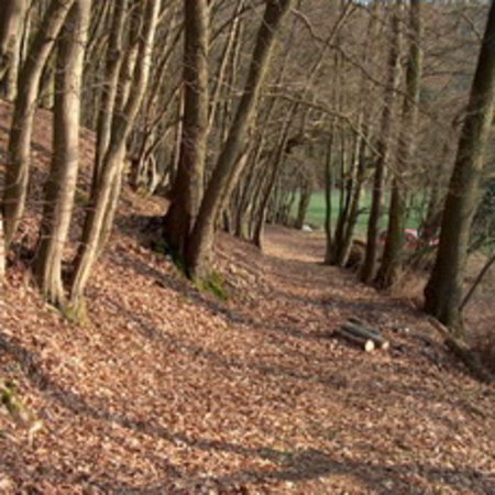 Röhrbrünnchen-13