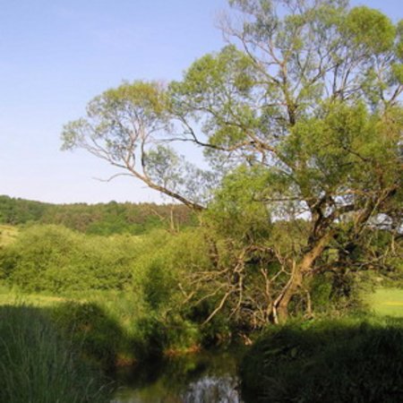 Naturschutzgebiet-7