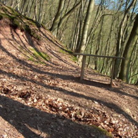 Röhrbrünnchen-20