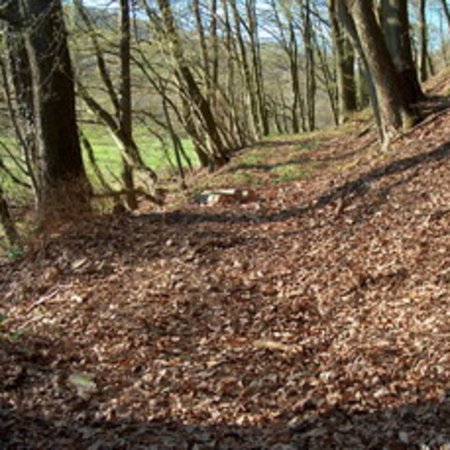 Röhrbrünnchen-25