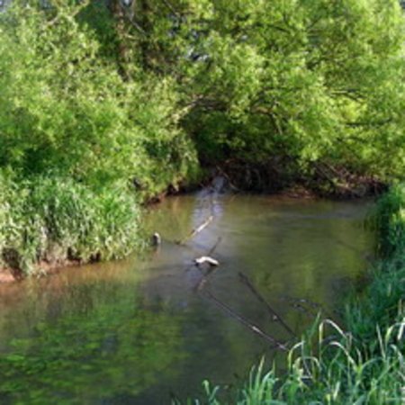 Naturschutzgebiet-32