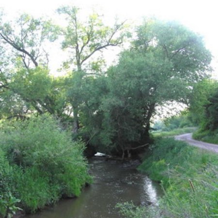 Naturschutzgebiet-8