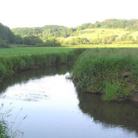 Naturschutzgebiet-22