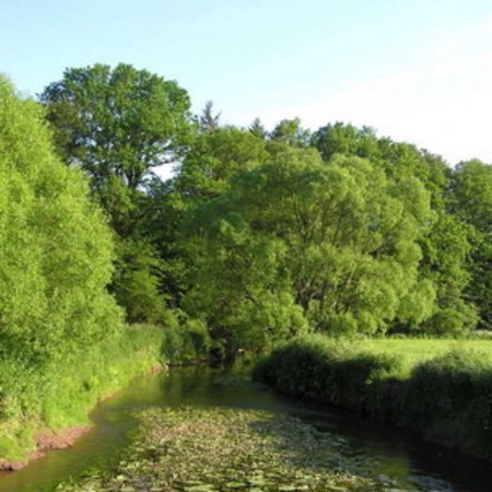 Naturschutzgebiet-14
