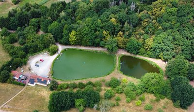 Angelweiher Nanzdietschweiler von oben