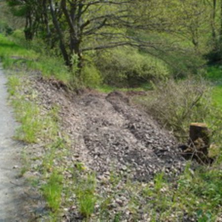 Wassertretbad-42