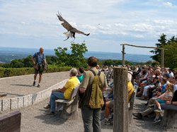 Wildpark Potzberg