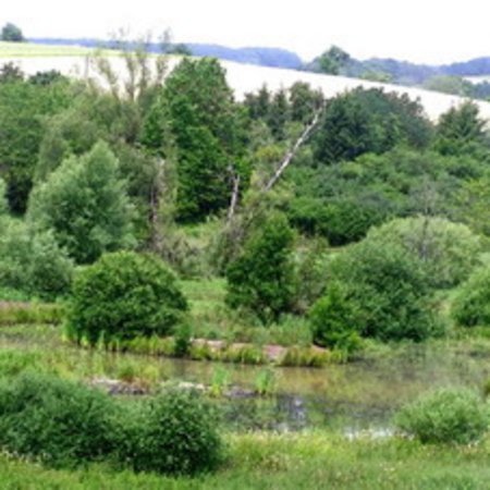 Naturschutzgebiet-44